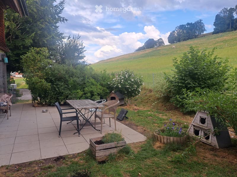 3.5 avec jardin (10)