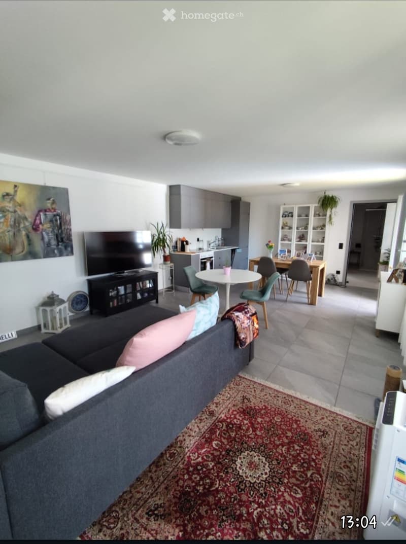Splendido 2.5 Locali Open Space e Vista Lago a Brissago! (1)