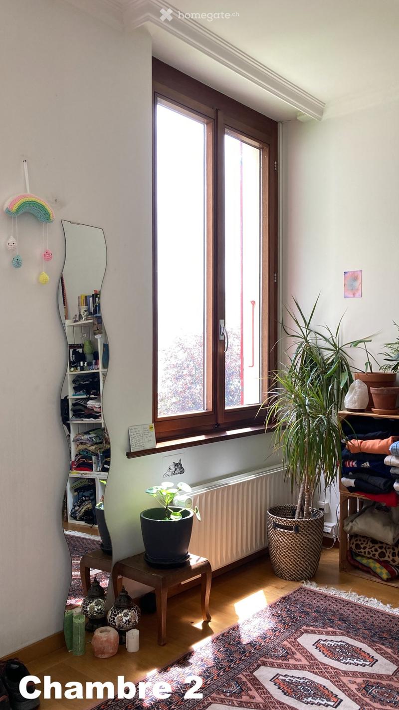 2 chambres en colocation dans une grande maison à Montreux (4)
