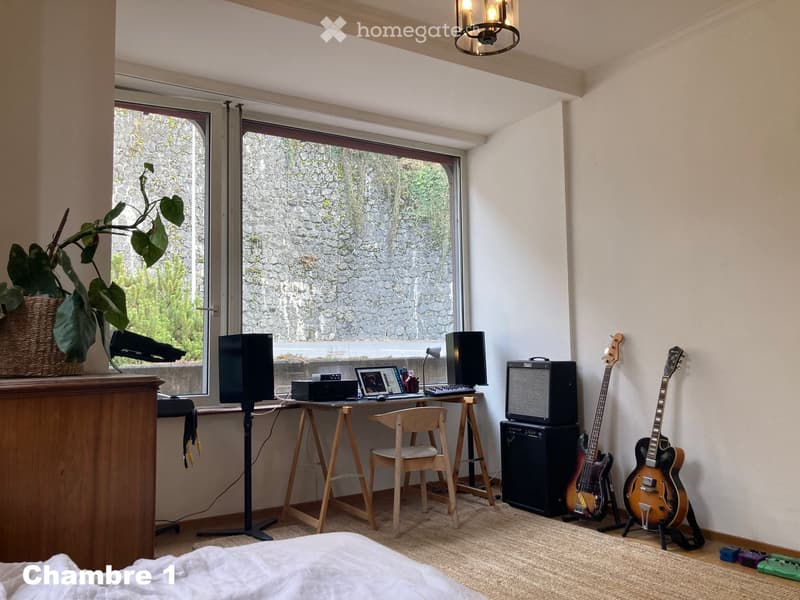 2 chambres en colocation dans une grande maison à Montreux (3)