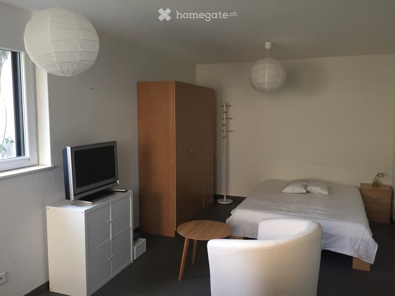 Studio à louer de suite ou à convenir (1)