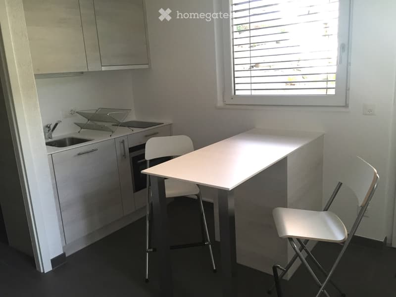 Studio à louer de suite ou à convenir (2)