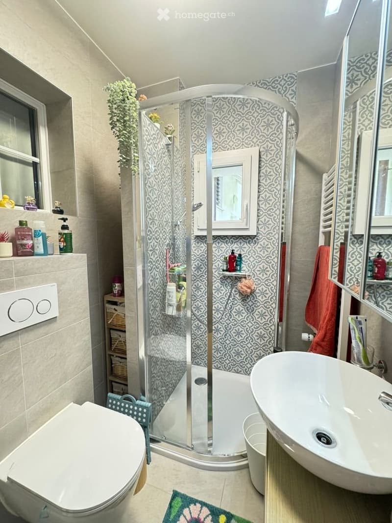 Unique - A saisir ! - Maison villageoise entièrement rénovée (11)