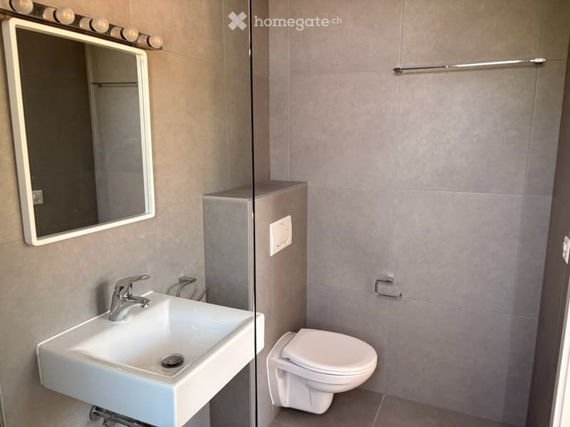 Appartement Loft 146m2 (8)