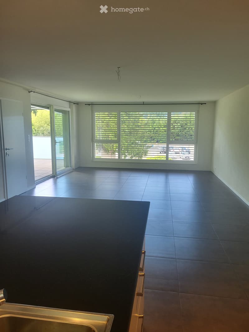 Duplex à vendre à Le Landeron (1)