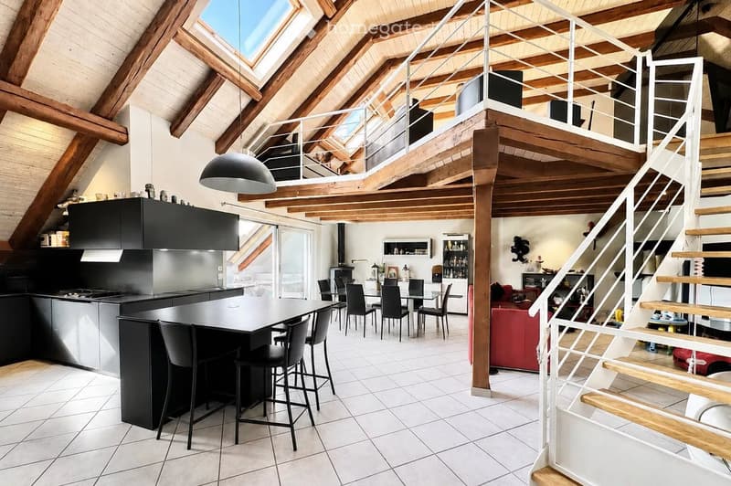 Splendide duplex - piscine commune à la PPE (1)