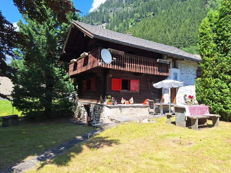 OASI DI PACE E GRANDE GIARDINO - FERIENTRAUM MIT GARTEN (1)