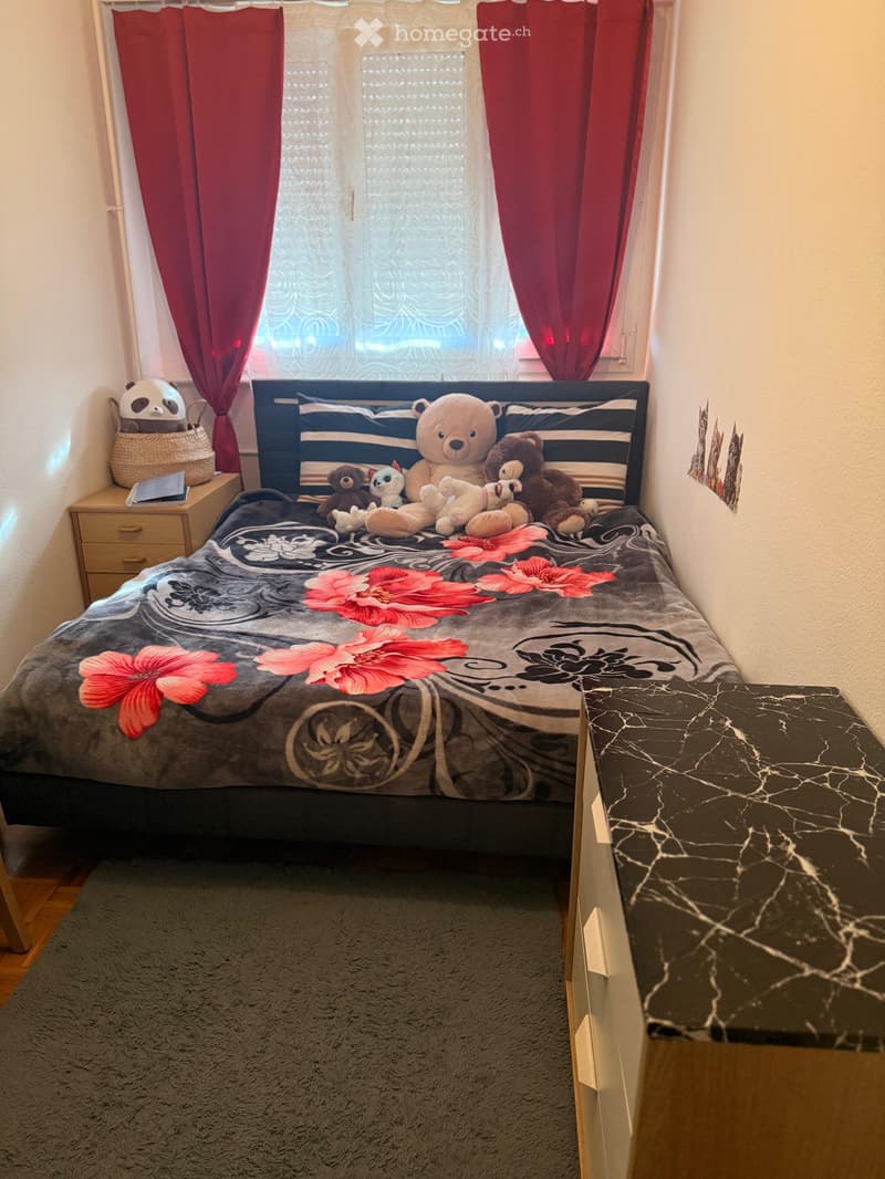 Chambre à louer à Meyrin Disponible dès décembre (5)