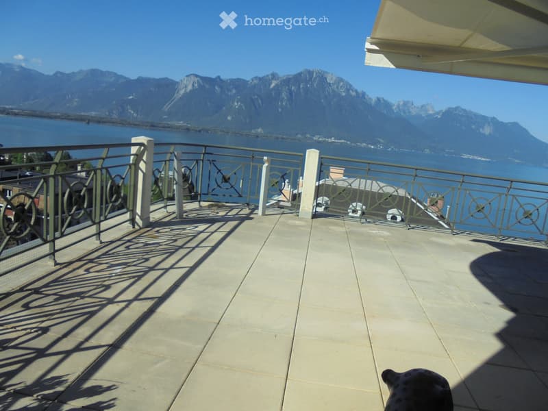 Duplex avec vue exceptionnelle (1)