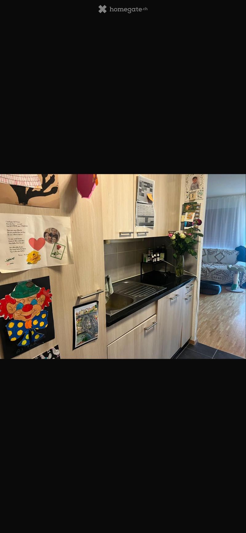 Appartement 4,5 pces Ecublens (4)
