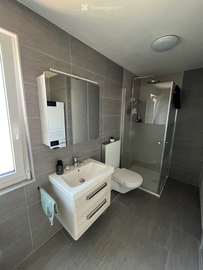 Chambre à louer avec salle de bain privative (2)
