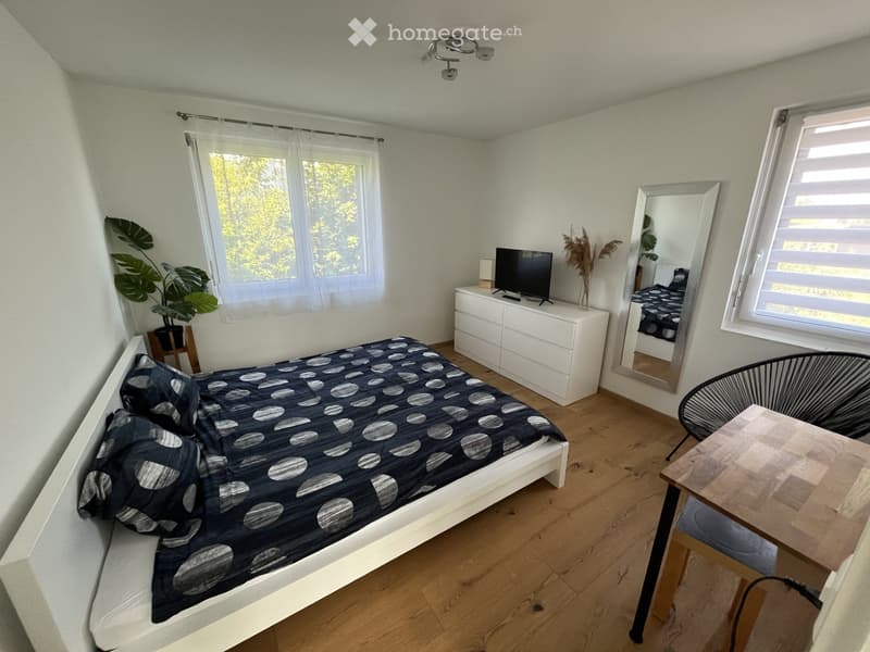 Chambre à louer avec salle de bain privative (1)