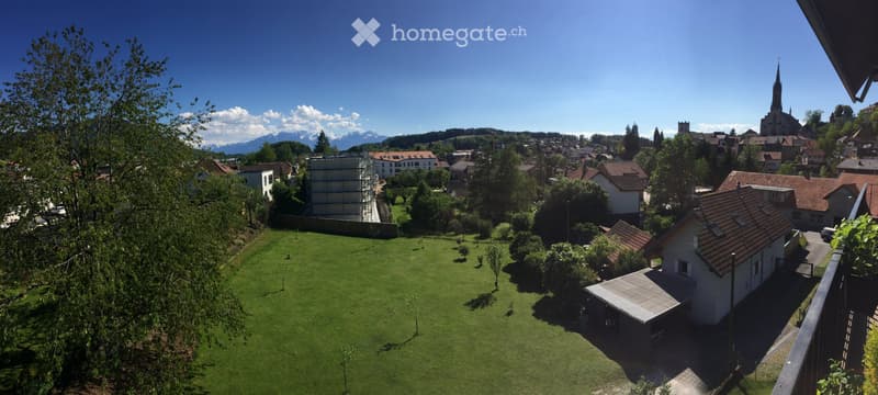Magnifique appartement de 4.5 pièces en attique (2)