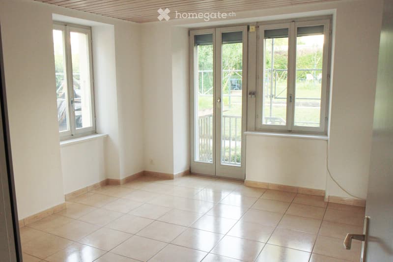 Rez-de-Chaussée avec accès jardin - Rue Winkelried 35 (1)