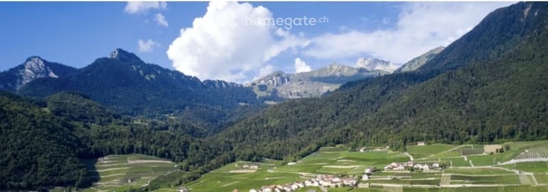 Colocation - URGENT (1)