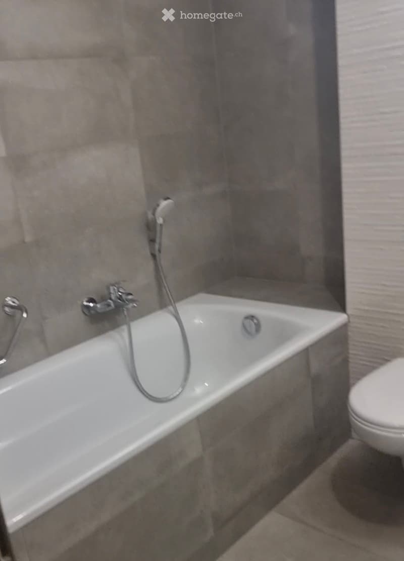 Appartement 4.5 pièces avec pelouse (3)