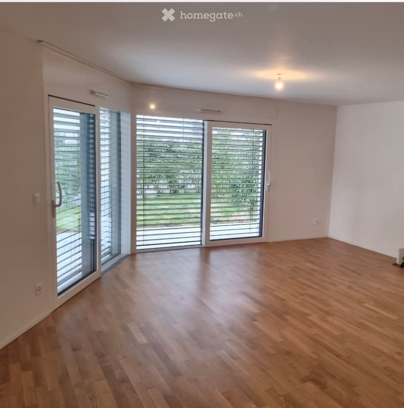 Appartement 4.5 pièces avec pelouse (1)
