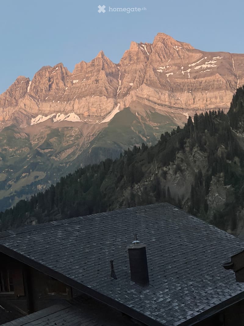Location par année (1)
