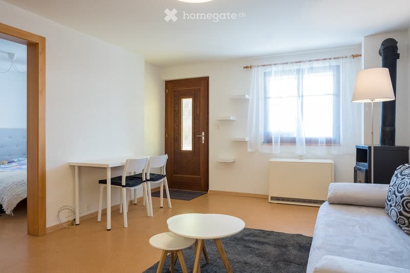 Appartement entièrement rénové et meublé avec terrasse (3)