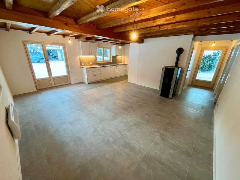 Magnifique appartement de 3,5 pièces avec jardin et terrasse (1)