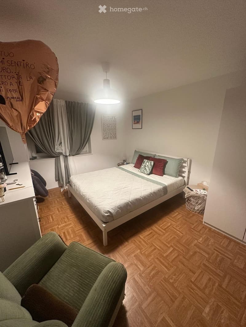 Charmante 2,5-Zimmer-Wohnung in Ebikon (4)