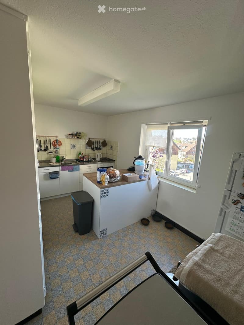 Charmante 2,5-Zimmer-Wohnung in Ebikon (5)