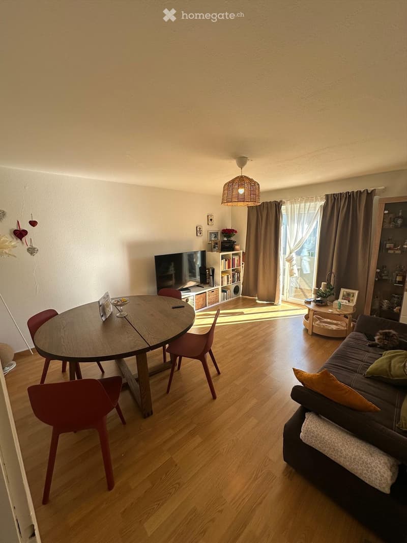 Charmante 2,5-Zimmer-Wohnung in Ebikon (1)