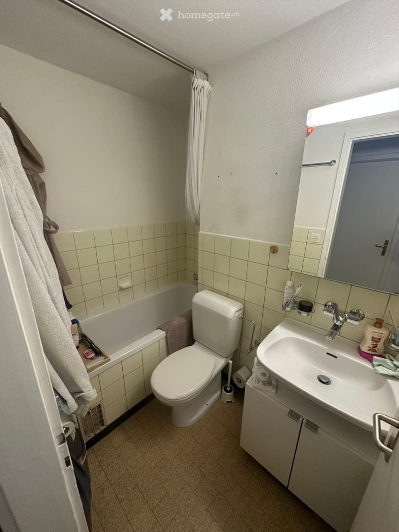 Charmante 2,5-Zimmer-Wohnung in Ebikon (3)