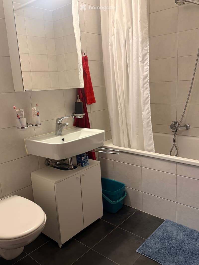 Superbe appartement lumineux de 3.5 pces au cur de Charrat (5)