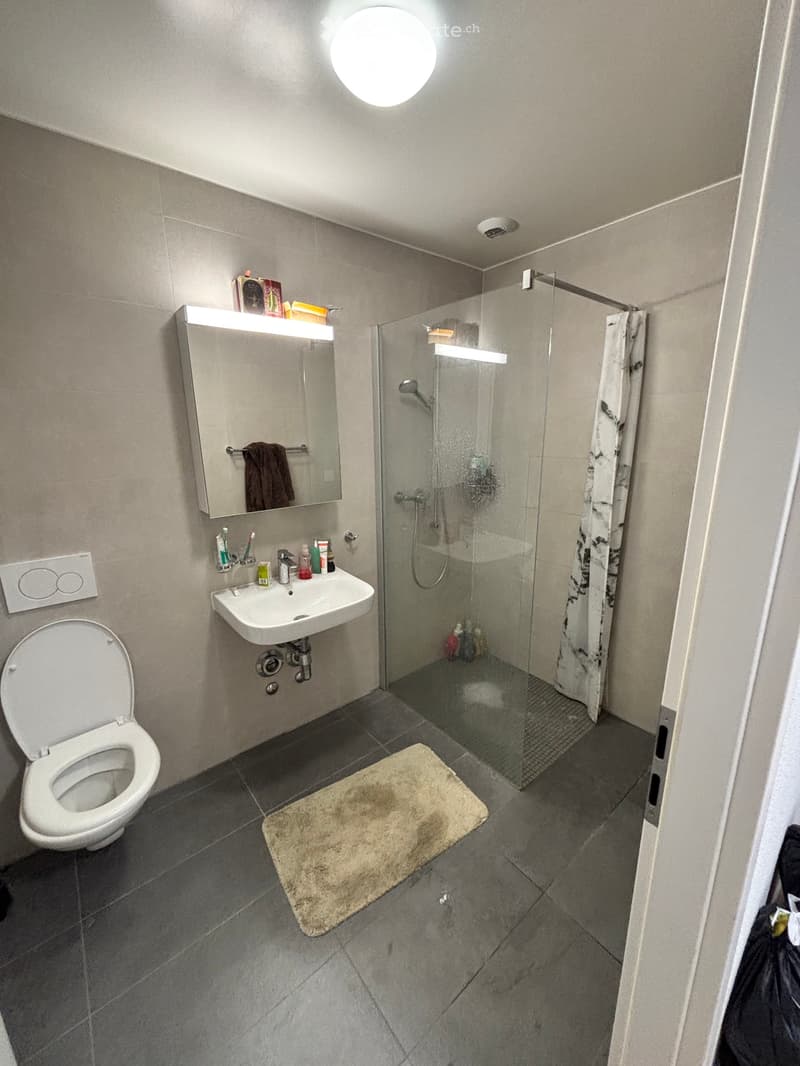 Magnifique appartement 4,5 pièces avec balcon (5)