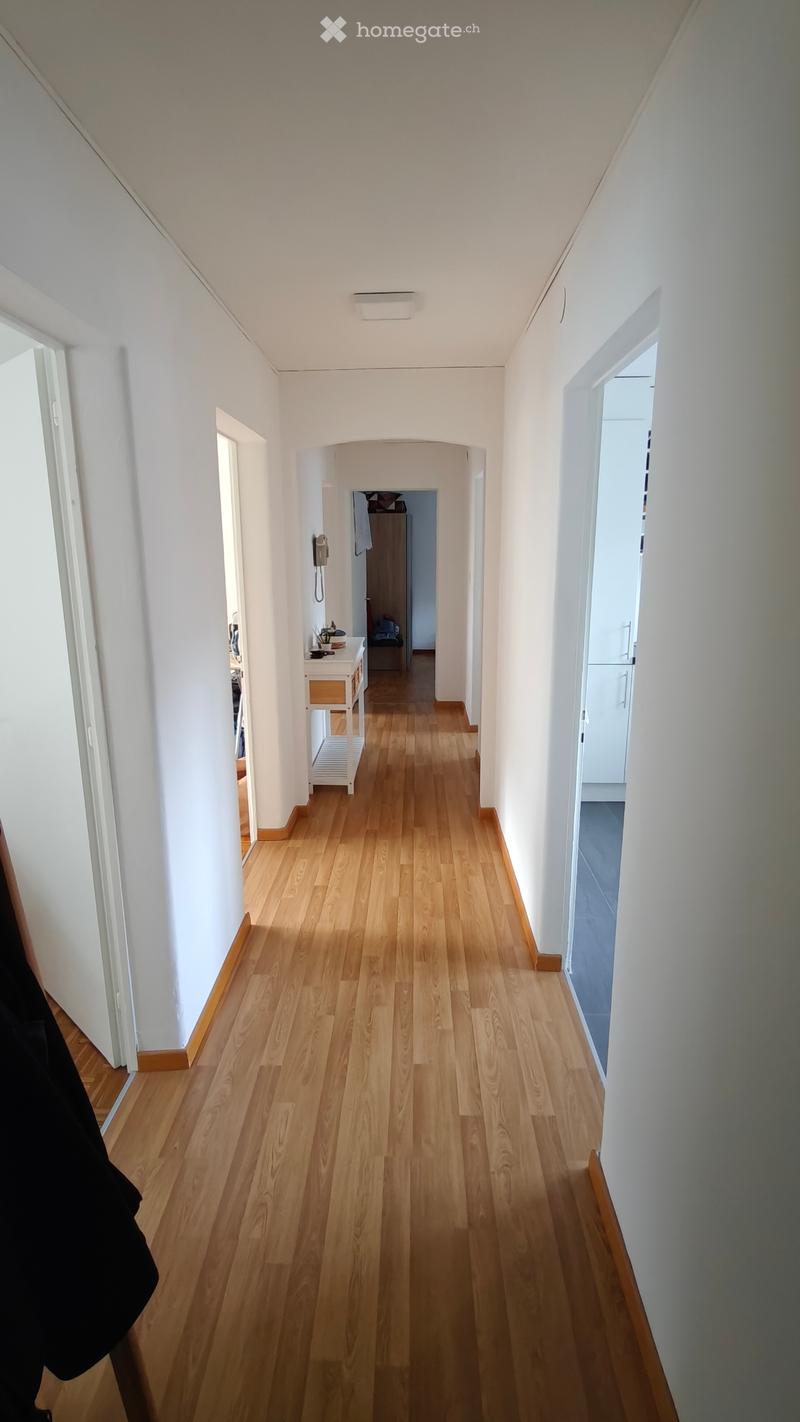 Magnifique appartement de 4.5 pièces avec grand balcon (4)