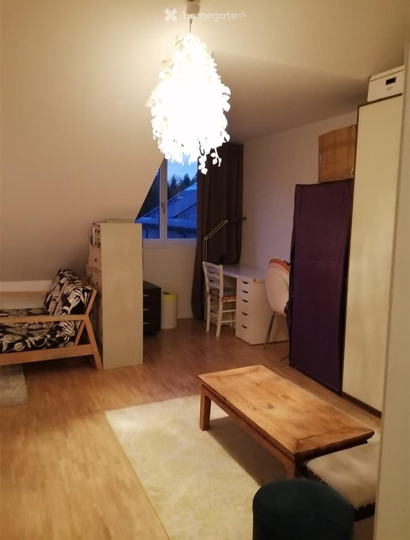 Sous-location 2 pièces pour 7 mois (4)