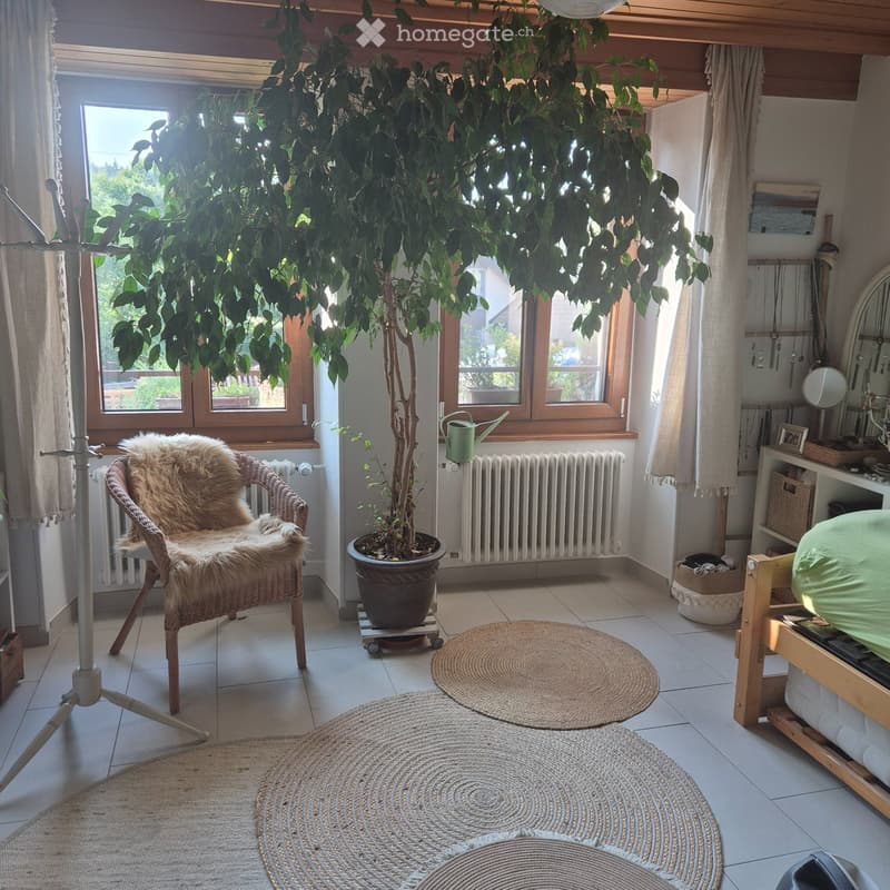Appartement sur 2 étages (4)