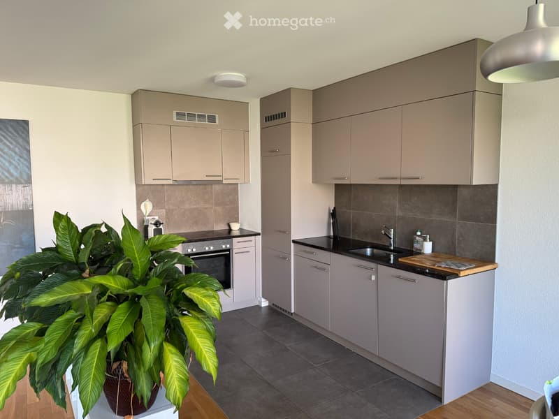 Très bel appartment avec balcon disponible 15 aout (4)