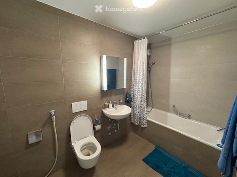 Très bel appartment avec balcon disponible 15 aout (5)