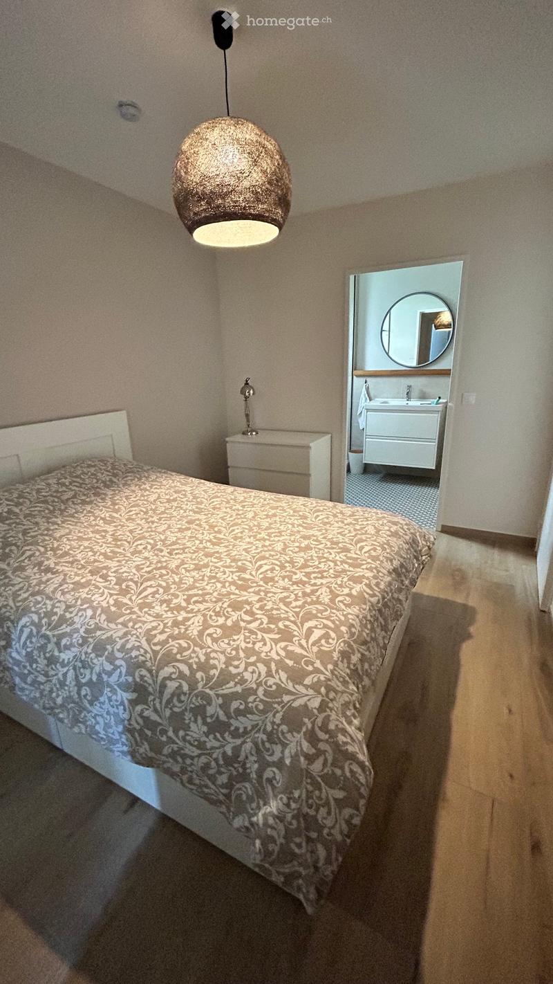 Magnifique T2 meublé - 54 m2 (4)