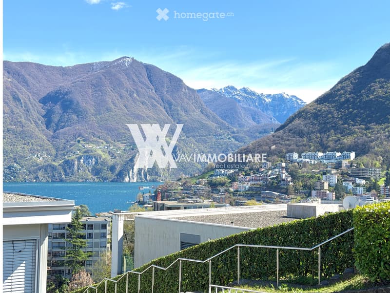 LUGANO: APPARTAMENTO TOTALMENTE RINNOVATO (1)
