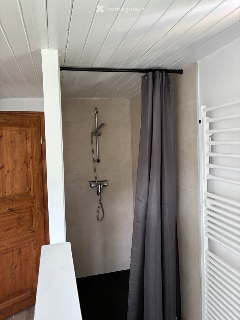 Chaleureux appartement de 55m2 (1)