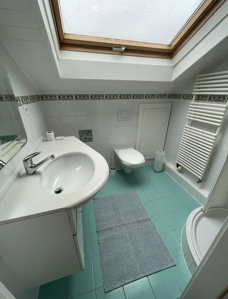 Grande chambre avec salle-de-bains privative à Versoix (4)