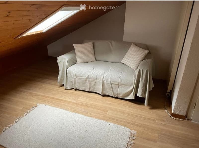 Grande chambre avec salle-de-bains privative à Versoix (2)