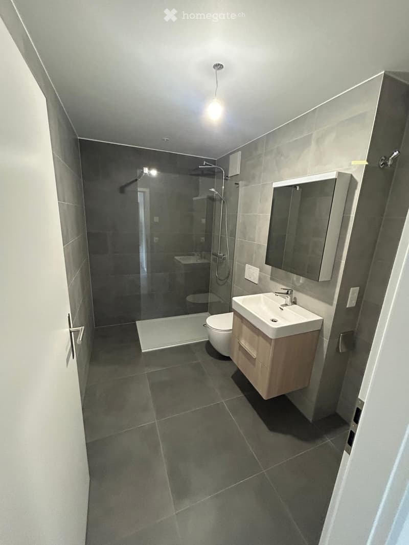 Appartement à louer pour le 1er octobre 2026 (4)