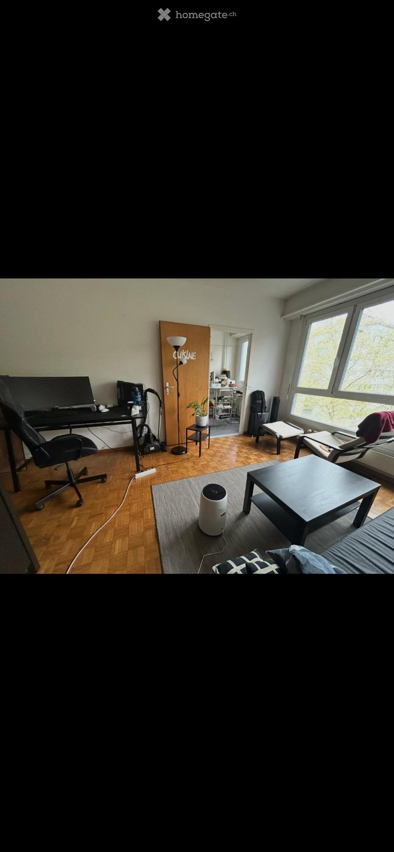 Grand studio meublé à Genève, emplacement exceptionnel (1)