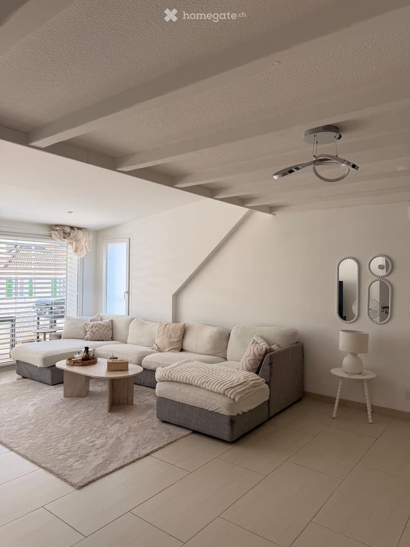 Appartement 4,5 pièces à louer de 140m2 (4)