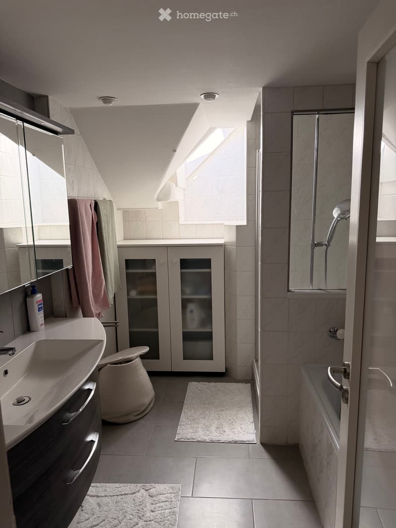 Appartement 4,5 pièces à louer de 140m2 (3)