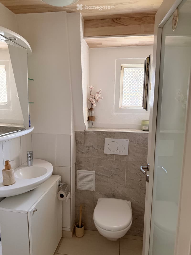 Appartement 4,5 pièces à louer de 140m2 (5)
