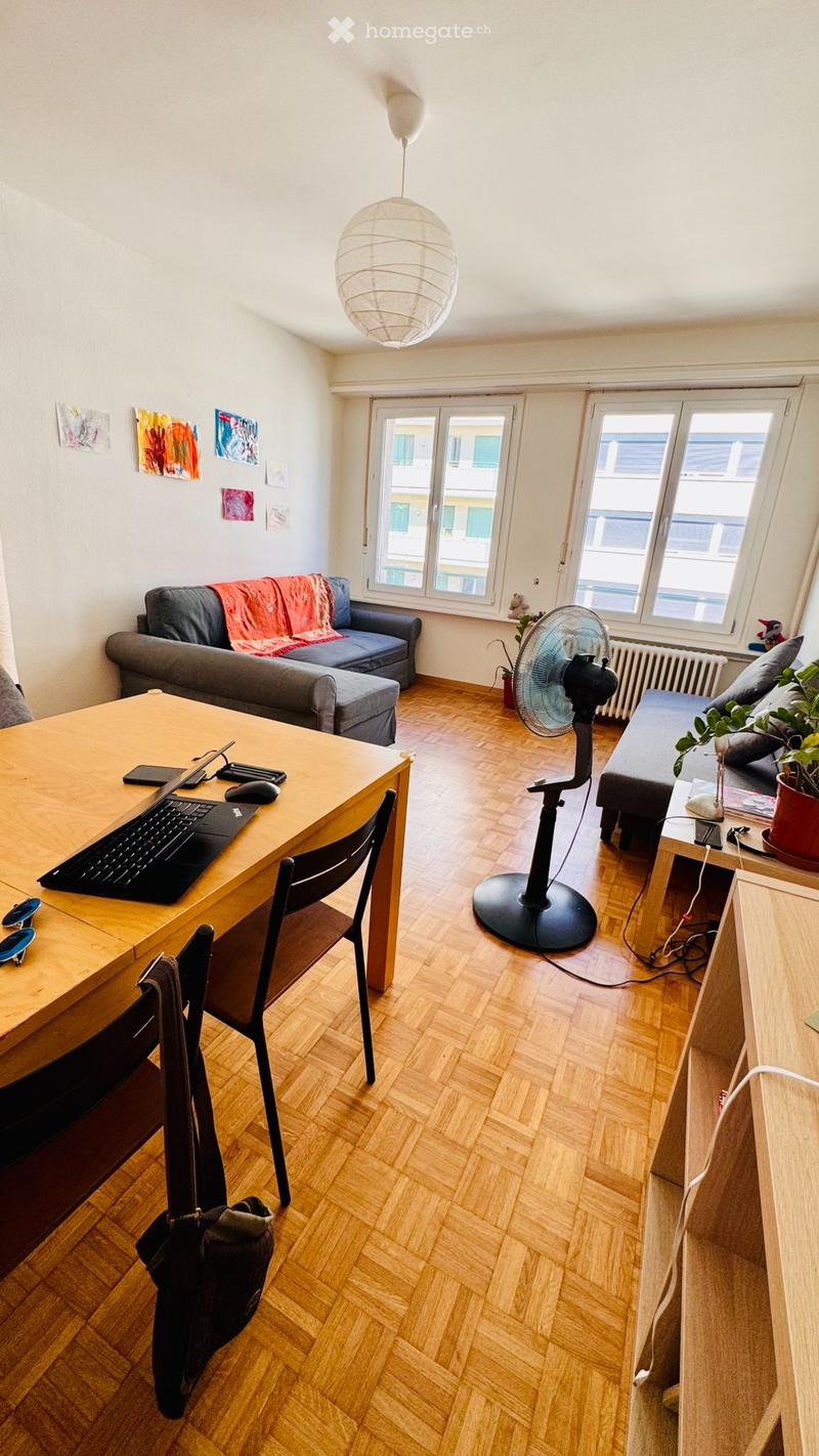 Appartement lumineux de 4 pièces au cur d'Eaux-Vives (3)