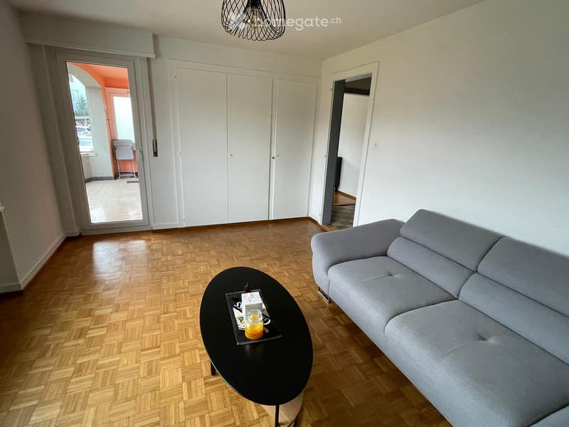 Appartement 3,5 pièces avec extérieur et petit ruisseau (3)