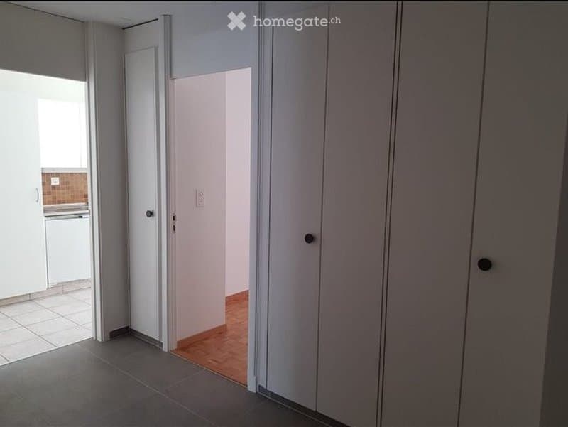Joli appartement 3.5 pièces et 76m2 lumineux avec balcon. (5)