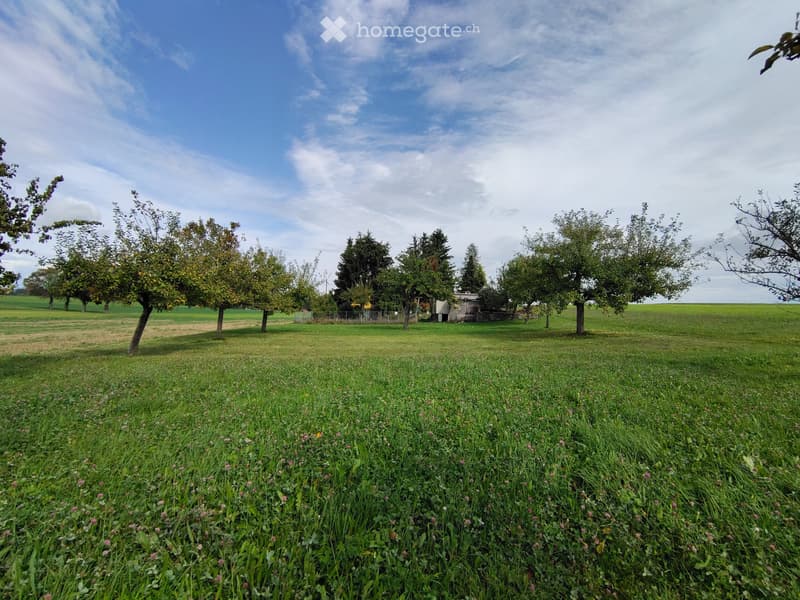 Magnifique appartement de 4,5 p. jardin et vue panoramique (5)