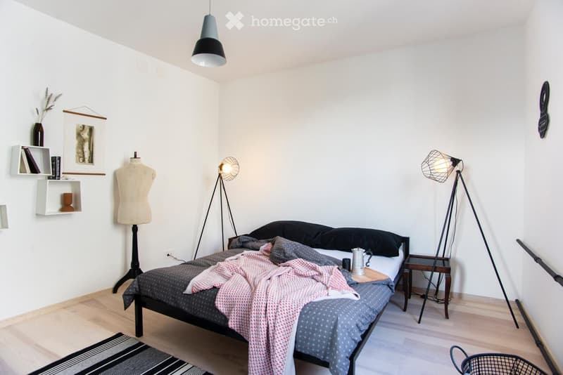 Joli appartement meublé par un designer (1)